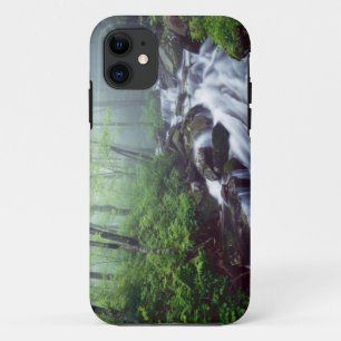 Coque iPhone 11 Linn Cove Creek cascade à travers la brume