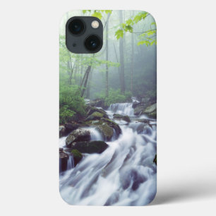 iPhone 13 Case Linn Cove Creek cascade à travers la brume