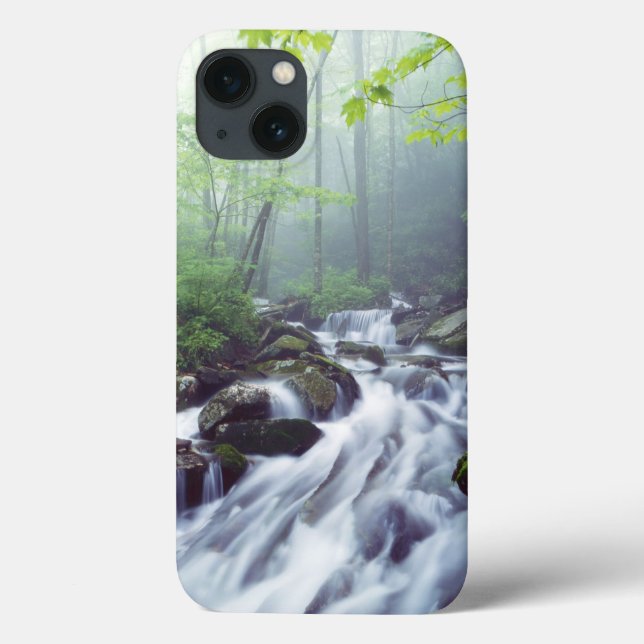 Coques Case-Mate iPhone Linn Cove Creek en cascade à travers la brume (Verso)