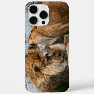 Coque iPhone 16 Pro Max Lion