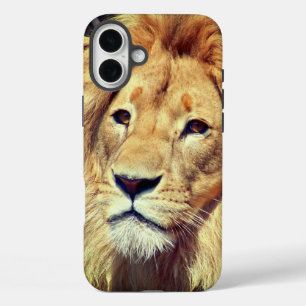 Coque Pour iPhone 16 Plus Lion
