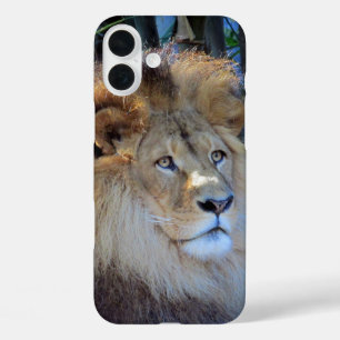 Coque Pour iPhone 16 Plus lion
