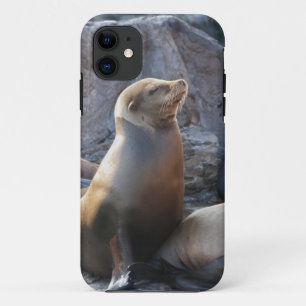 Case-Mate iPhone Case Lion de mer