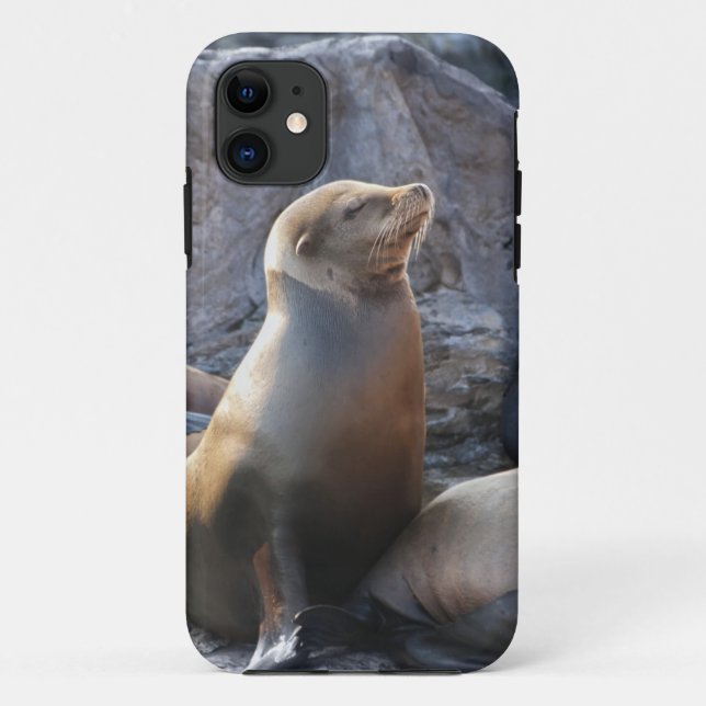 Coques Case-Mate iPhone Lion de mer (Dos)