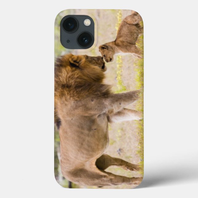 Coques Case-Mate iPhone Lion mâle alpha inspecte un ourson (Verso)