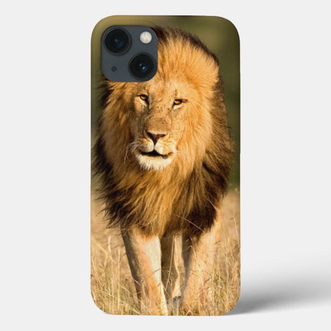 Coques Case-Mate iPhone Lion mâle marchant (Verso)