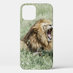 Case-Mate iPhone CASE LION MENANT SUR LA GRASSE VERTE PENDANT LA JOURNÉE