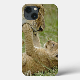 Coque Case-Mate iPhone Lionceau Jouant