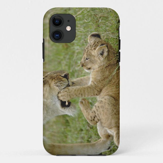 Coques Case-Mate iPhone Lionceau Jouant (Dos)