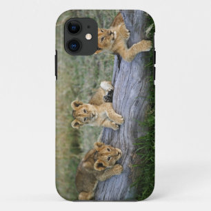 Coque Case-Mate iPhone Lionceaux sur une bûche