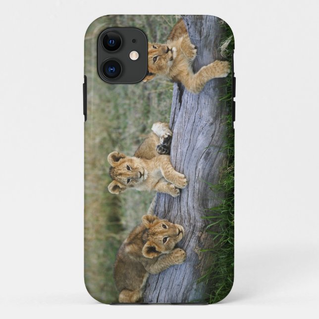 Coques Case-Mate iPhone Lionceaux sur une bûche (Dos)