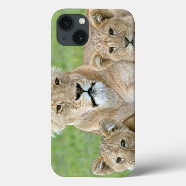 Coques Case-Mate iPhone Lioness et deux petits, Afrique de l'Est, Tanzanie (Verso)