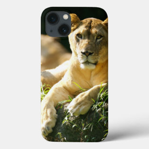 Coque Case-Mate iPhone Lions