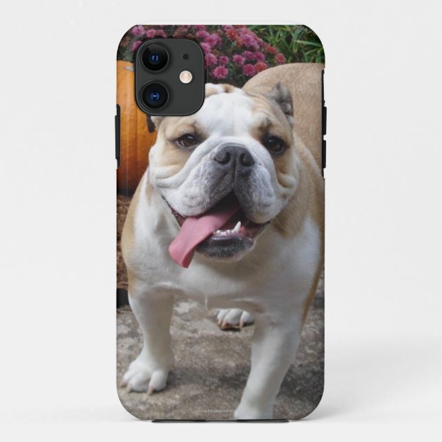 Coques Case-Mate iPhone L'iPhone drôle mignon 5 de bouledogue anglais (Dos)