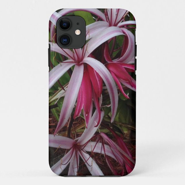 Coques Case-Mate iPhone Lis Crinum pourpre de la reine Emma (Dos)