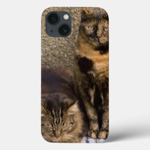 Etui iPhone Case-Mate L'Italie, Cinque Terre, Vernazza. Trois chats à