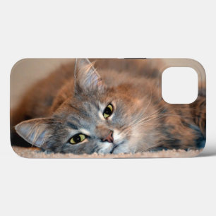 Case-Mate iPhone Case Long chapeau bleu russe haïe par Shirley Taylor