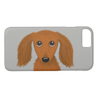 Long Haired Dachshund | Doxie mignon chien de dess