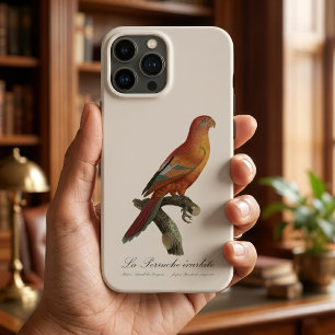 Case-Mate iPhone Case Lori rouge ou Eos Bornea, Trichoglossus borneus