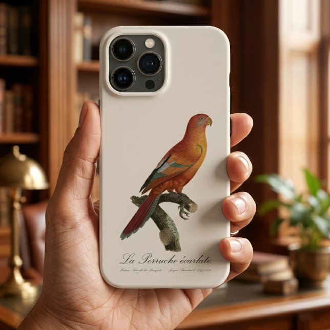 Coques Case-Mate iPhone Lori rouge ou Eos Bornea, Trichoglossus borneus (Red Lory or Eos Bornea, Trichoglossus borneus. iPhone Case)