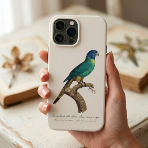 Case-Mate iPhone Case Loriquet arc-en-ciel juvénile Trichoglossus molucc