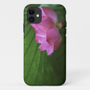Coques Pour iPhone Lotus Ohga, jardin Sankei-en, Yokohama, Japon