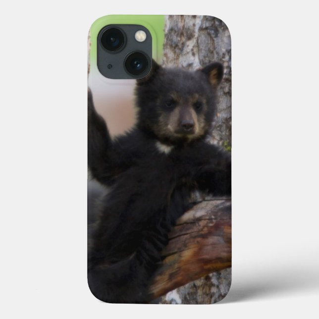 Coques Case-Mate iPhone Lounging de CUB d'ours noirs (Verso)