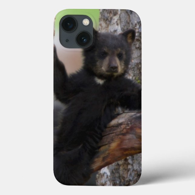 Coques Case-Mate iPhone Lounging de CUB d'ours noirs (Verso)