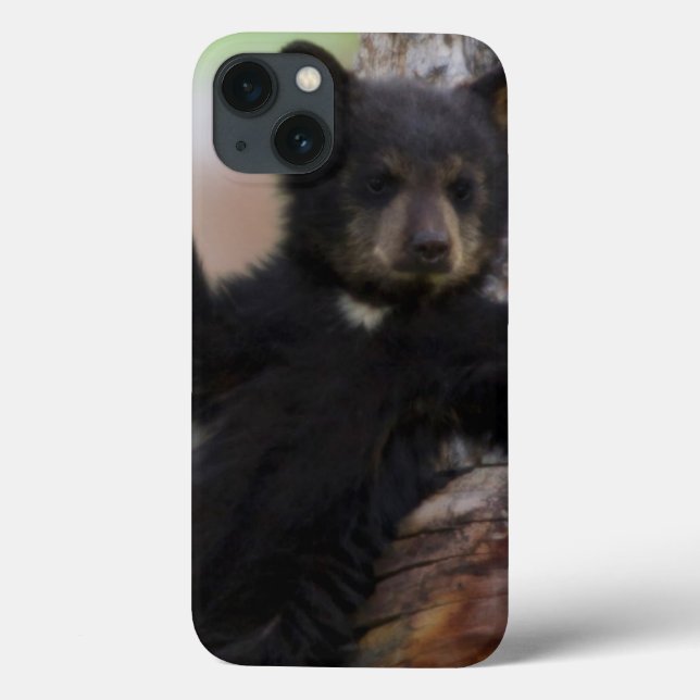 Coques Case-Mate iPhone Lounging de CUB d'ours noirs (Verso)