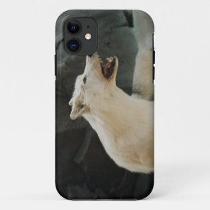 Etui iPhone Case-Mate Loup blanc