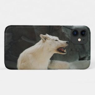 Coque iPhone 11 Loup blanc