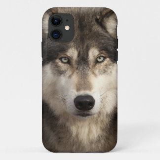 Coque iPhone 11 Loup de bois de construction par JIM Zuckerman
