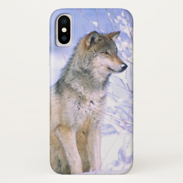 Coques Case-Mate iPhone Loup gris assis dans la neige, Canis lupus, (Dos)