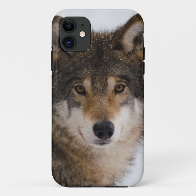 Coques Case-Mate iPhone Loup gris européen (Dos)