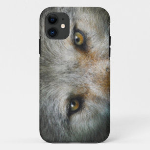 Coque Case-Mate Pour iPhone Loup gris Golden Eyes Cadeau faunique