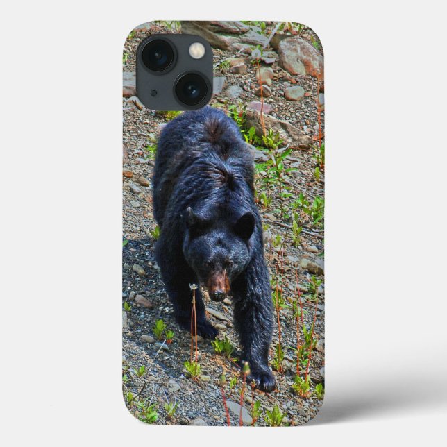 Coques Case-Mate iPhone L'ours noir dans la nature sauvage du Yukon Photo (Verso)