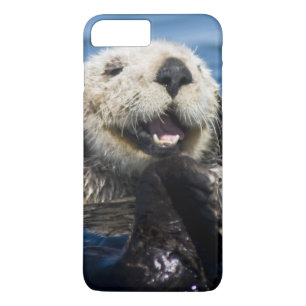 Coque iPhone 8 Plus/7 Plus Loutre de mer de Californie Enhydra lutris) se toi
