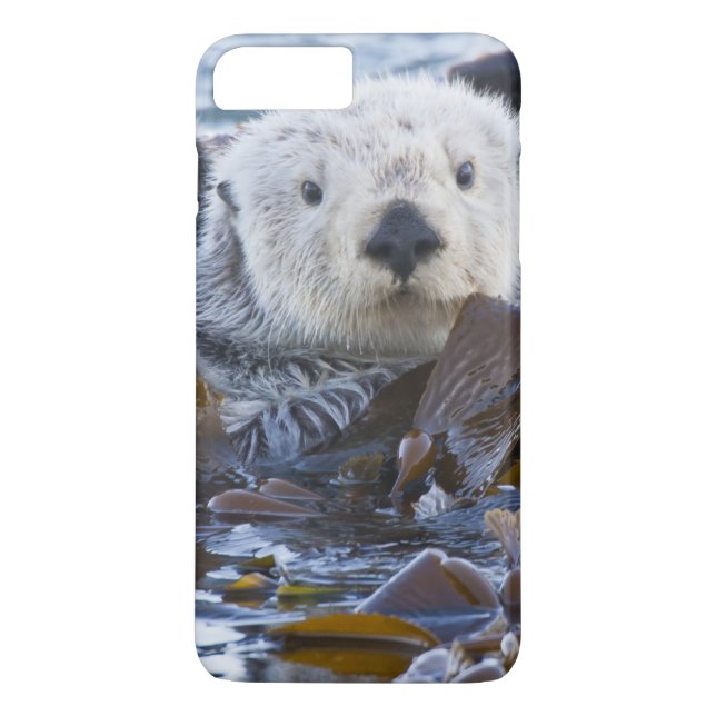Coques Case-Mate iPhone Loutre de mer enveloppée de kelp (Dos)