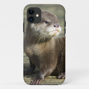 Etui iPhone Case-Mate Loutre mignonne de bébé