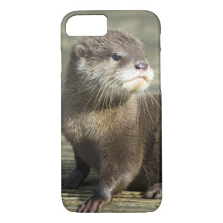 Coque Case-Mate iPhone Loutre mignonne de bébé