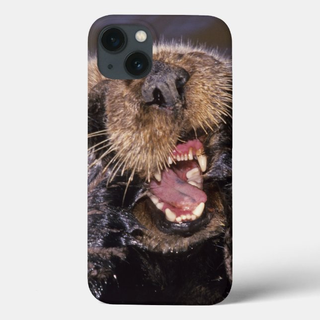 Coques Case-Mate iPhone Loutres de mer, Enhydra lutris 6 (Verso)