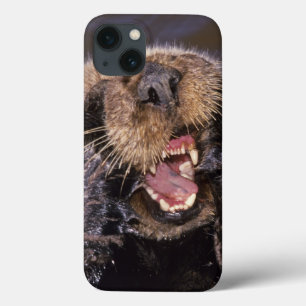 Etui iPhone 13 Loutres de mer, lutris 6 d'Enhydra