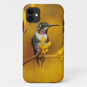 Coque Case-Mate iPhone Lueur d'or