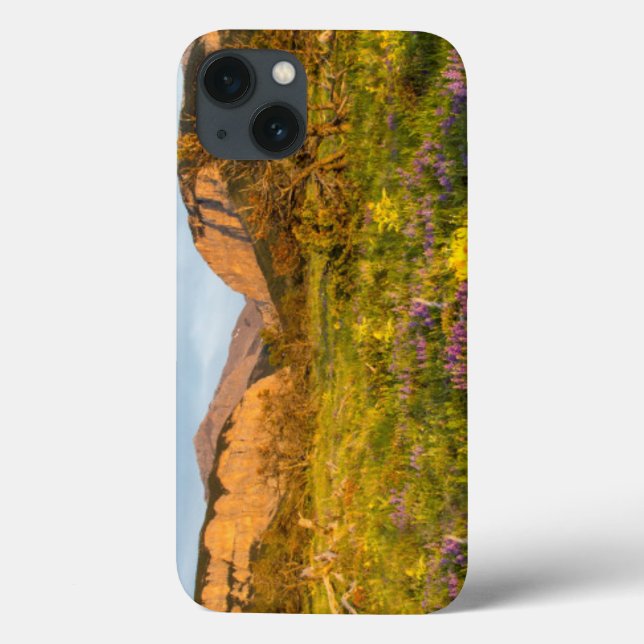 Coques Case-Mate iPhone Lumières du lever du soleil Blackleaf Canyon (Verso)
