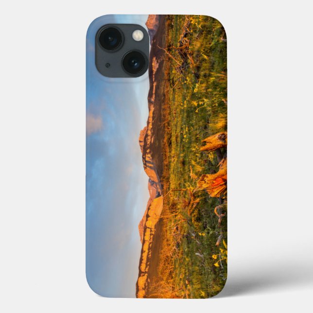 Coques Case-Mate iPhone Lumières du lever du soleil Blackleaf Canyon 2 (Verso)