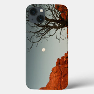 iPhone 13 Case Lune mauvaise