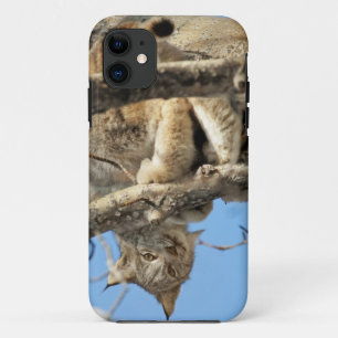 Coque Case-Mate iPhone Lynx espiègle