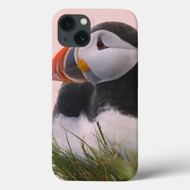 Coques Case-Mate iPhone Macareux atlantique (Fratercula arctica) (Verso)