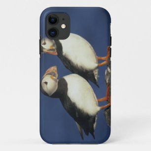 Coque Case-Mate Pour iPhone Macareux moine