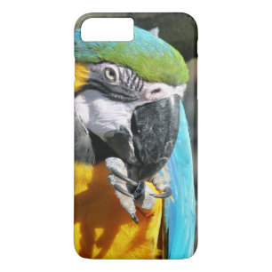 Case-Mate iPhone CASE MACAWS